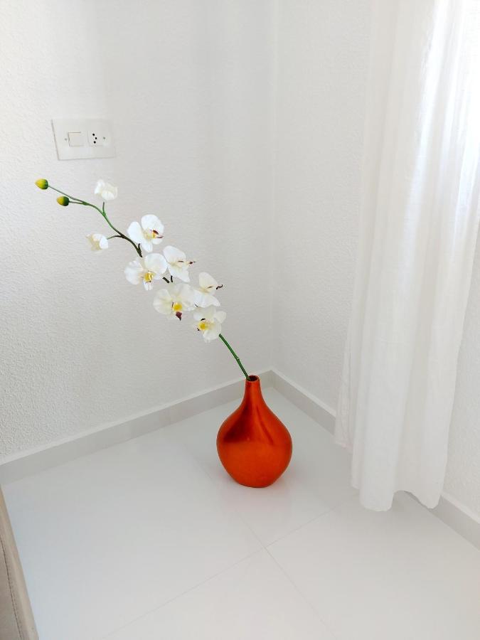 Albir Resort El Albir Ngoại thất bức ảnh