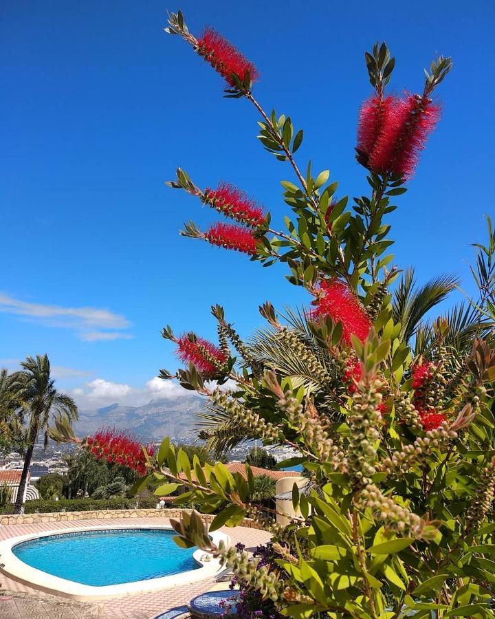 Albir Resort El Albir Ngoại thất bức ảnh