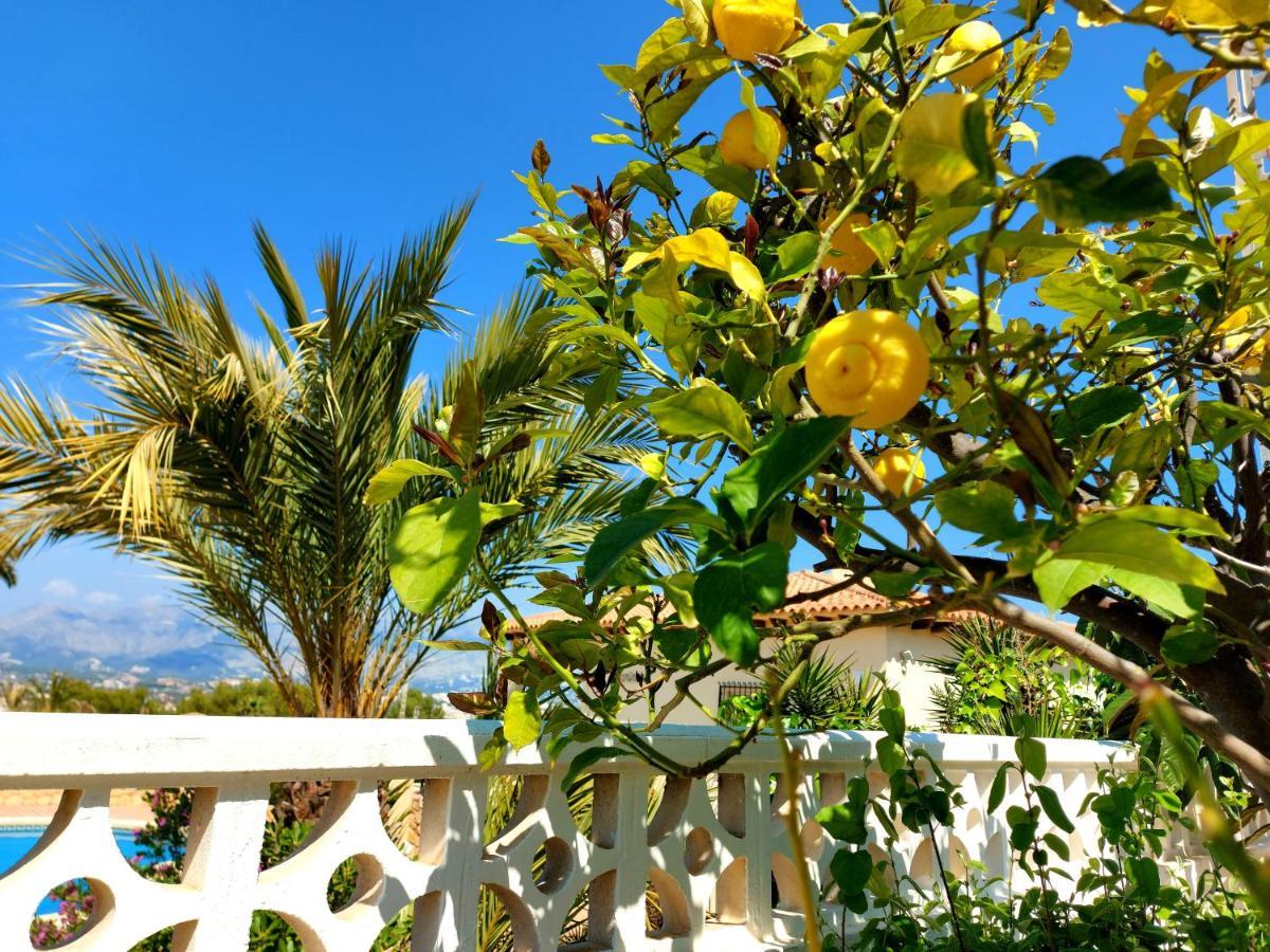Albir Resort El Albir Ngoại thất bức ảnh